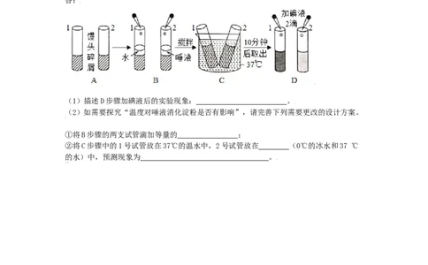 4.2.2消化和吸收-（人教版）（原卷版）_初中全科电子版试卷练习试题_生物_生物人教版7下练习_人教生物7年级下课时练习40份_第1套七年级生物下册课时练习（人教版）20份