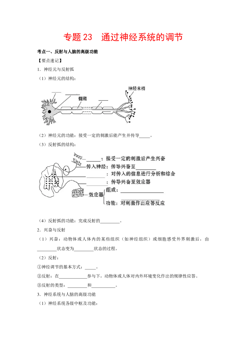 专题23通过神经系统的调节（学生版）_新高考复习资料_2023年新高考复习资料_二轮复习_增分要点2023高考生物二轮复习专题解读和分层训练291073137_专题23通过神经系统的调节