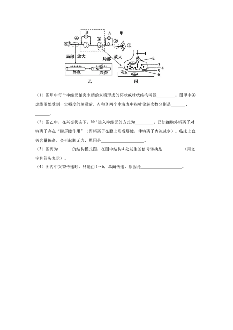 专题23通过神经系统的调节（学生版）_新高考复习资料_2023年新高考复习资料_二轮复习_增分要点2023高考生物二轮复习专题解读和分层训练291073137_专题23通过神经系统的调节
