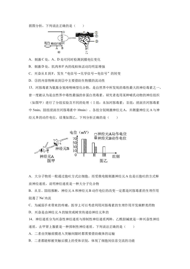 专题23通过神经系统的调节（学生版）_新高考复习资料_2023年新高考复习资料_二轮复习_增分要点2023高考生物二轮复习专题解读和分层训练291073137_专题23通过神经系统的调节