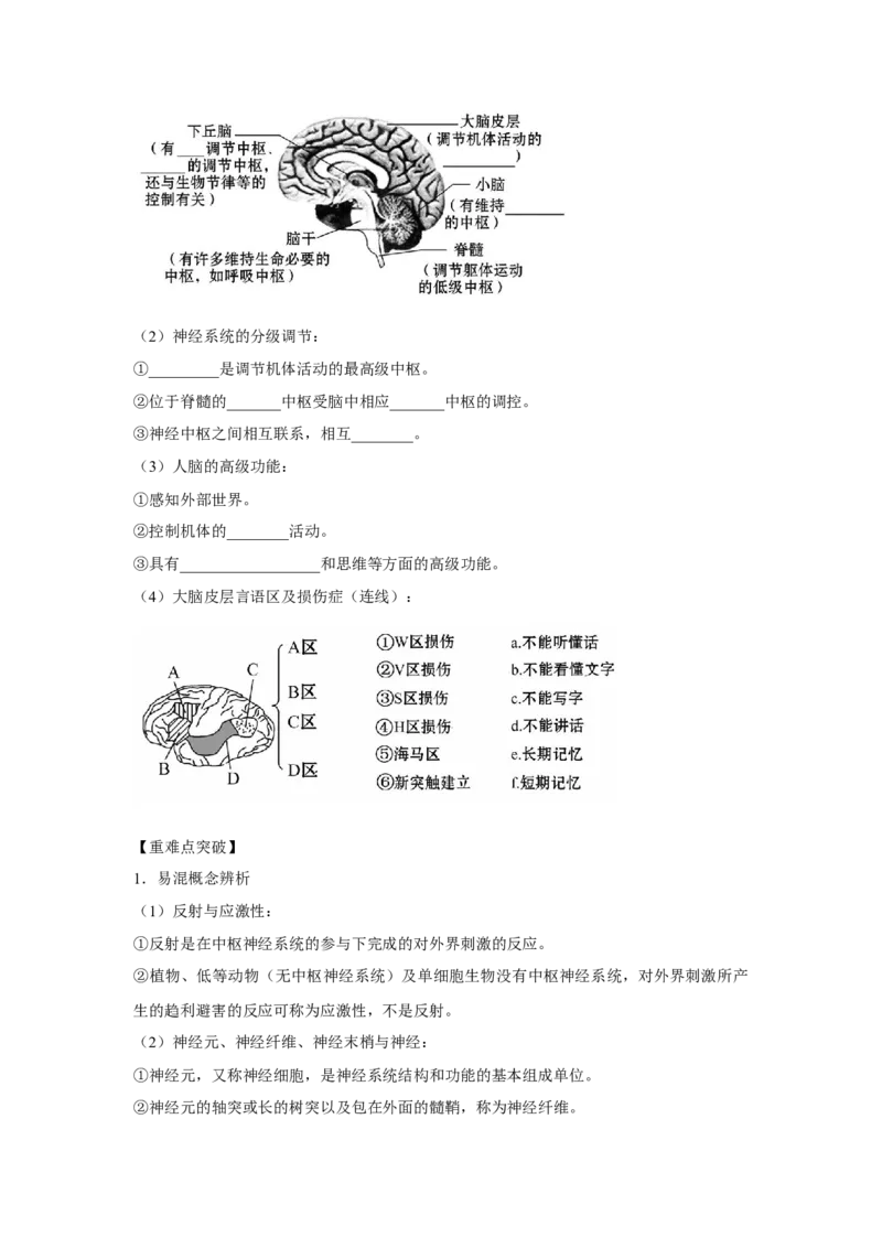 专题23通过神经系统的调节（学生版）_新高考复习资料_2023年新高考复习资料_二轮复习_增分要点2023高考生物二轮复习专题解读和分层训练291073137_专题23通过神经系统的调节
