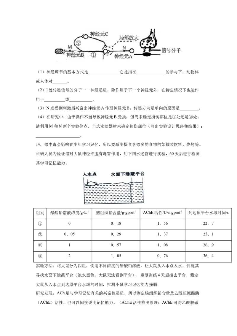 专题23通过神经系统的调节（学生版）_新高考复习资料_2023年新高考复习资料_二轮复习_增分要点2023高考生物二轮复习专题解读和分层训练291073137_专题23通过神经系统的调节