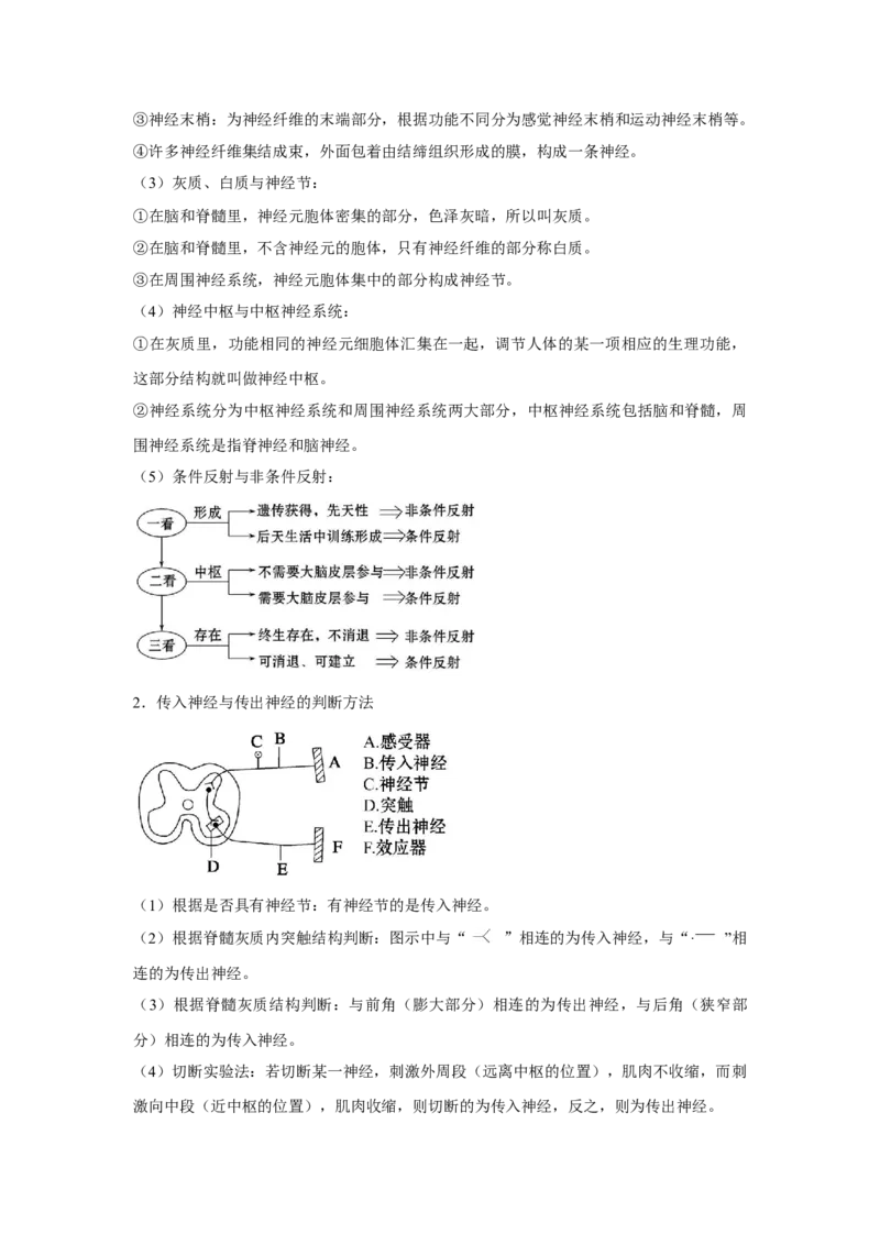 专题23通过神经系统的调节（学生版）_新高考复习资料_2023年新高考复习资料_二轮复习_增分要点2023高考生物二轮复习专题解读和分层训练291073137_专题23通过神经系统的调节