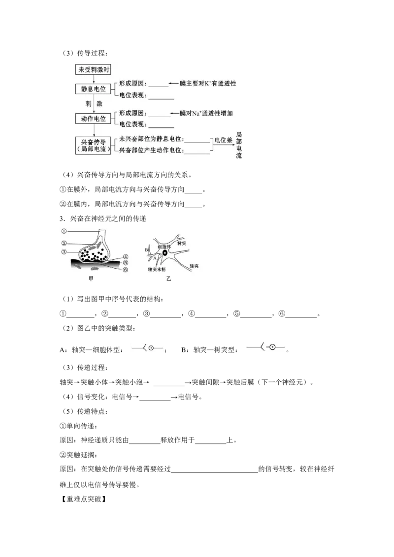 专题23通过神经系统的调节（学生版）_新高考复习资料_2023年新高考复习资料_二轮复习_增分要点2023高考生物二轮复习专题解读和分层训练291073137_专题23通过神经系统的调节