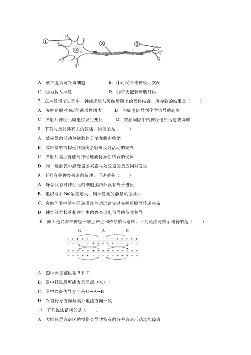 专题23通过神经系统的调节（学生版）_新高考复习资料_2023年新高考复习资料_二轮复习_增分要点2023高考生物二轮复习专题解读和分层训练291073137_专题23通过神经系统的调节