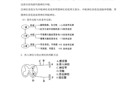 专题23通过神经系统的调节（学生版）_新高考复习资料_2023年新高考复习资料_二轮复习_增分要点2023高考生物二轮复习专题解读和分层训练291073137_专题23通过神经系统的调节