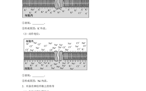 专题23通过神经系统的调节（学生版）_新高考复习资料_2023年新高考复习资料_二轮复习_增分要点2023高考生物二轮复习专题解读和分层训练291073137_专题23通过神经系统的调节