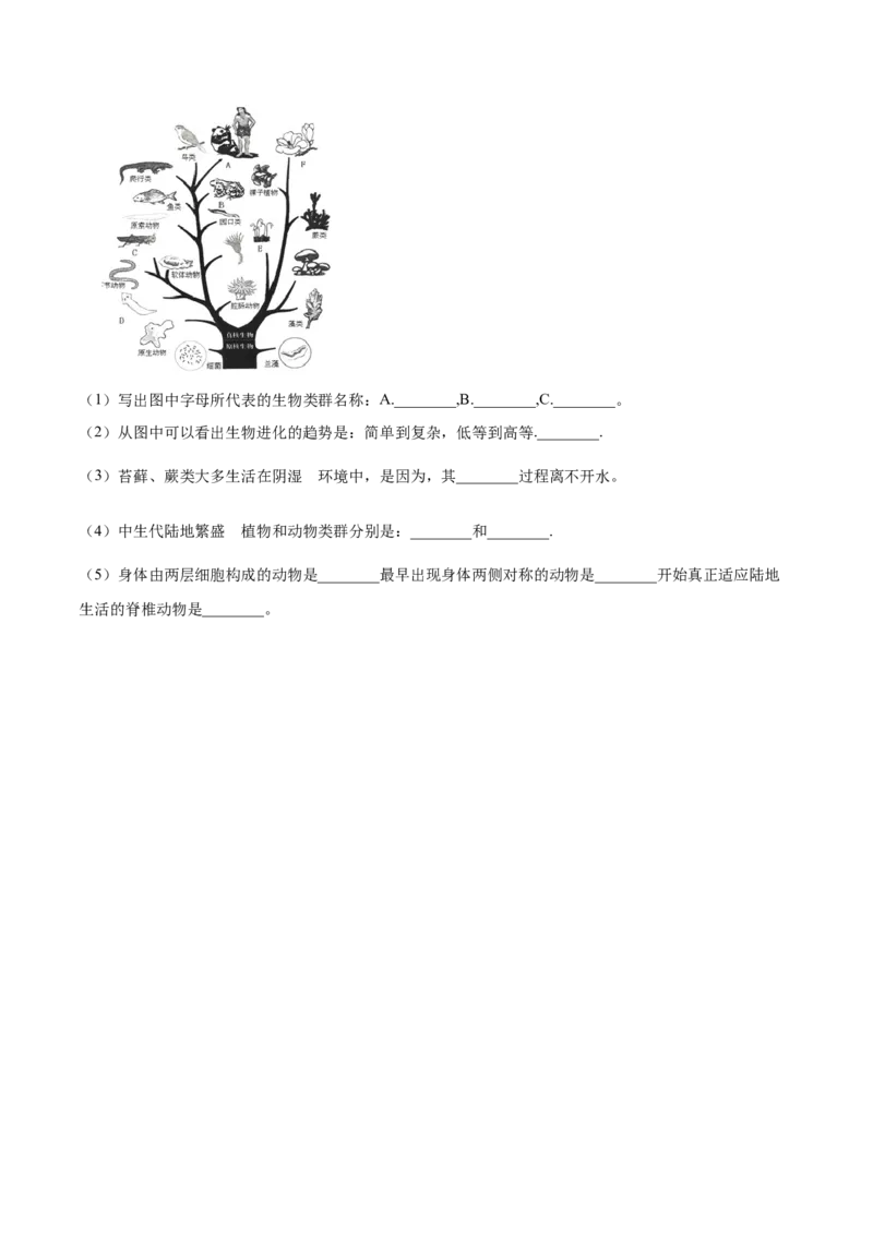 7.3.2生物进化的历程（基础练）-（人教版）（原卷版）_初中全科电子版试卷练习试题_生物_生物8下练习_人教生物8年级下课时练习51份