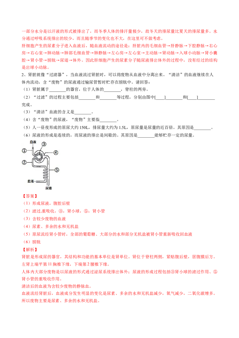 4.5人体内废物的排出（解析版）_初中全科电子版试卷练习试题_生物_生物人教版7下练习_人教生物7年级下课时练习40份_第2套七年级生物下册课时练习（人教版）20份