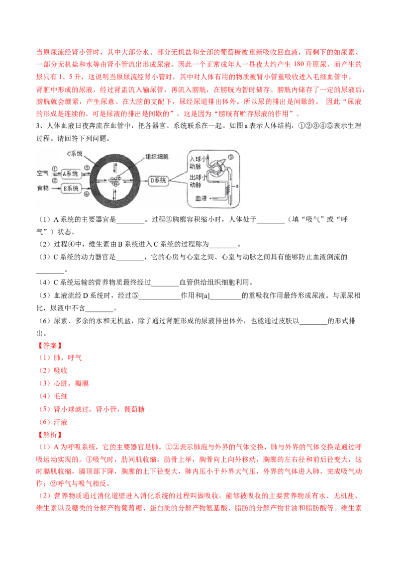 4.5人体内废物的排出（解析版）_初中全科电子版试卷练习试题_生物_生物人教版7下练习_人教生物7年级下课时练习40份_第2套七年级生物下册课时练习（人教版）20份