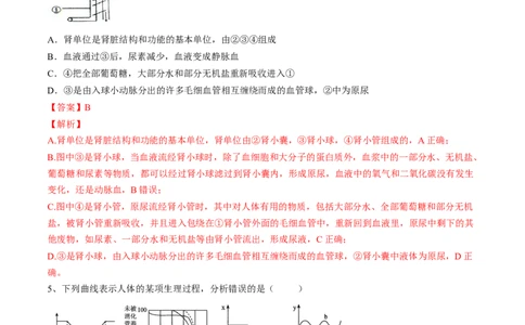 4.5人体内废物的排出（解析版）_初中全科电子版试卷练习试题_生物_生物人教版7下练习_人教生物7年级下课时练习40份_第2套七年级生物下册课时练习（人教版）20份