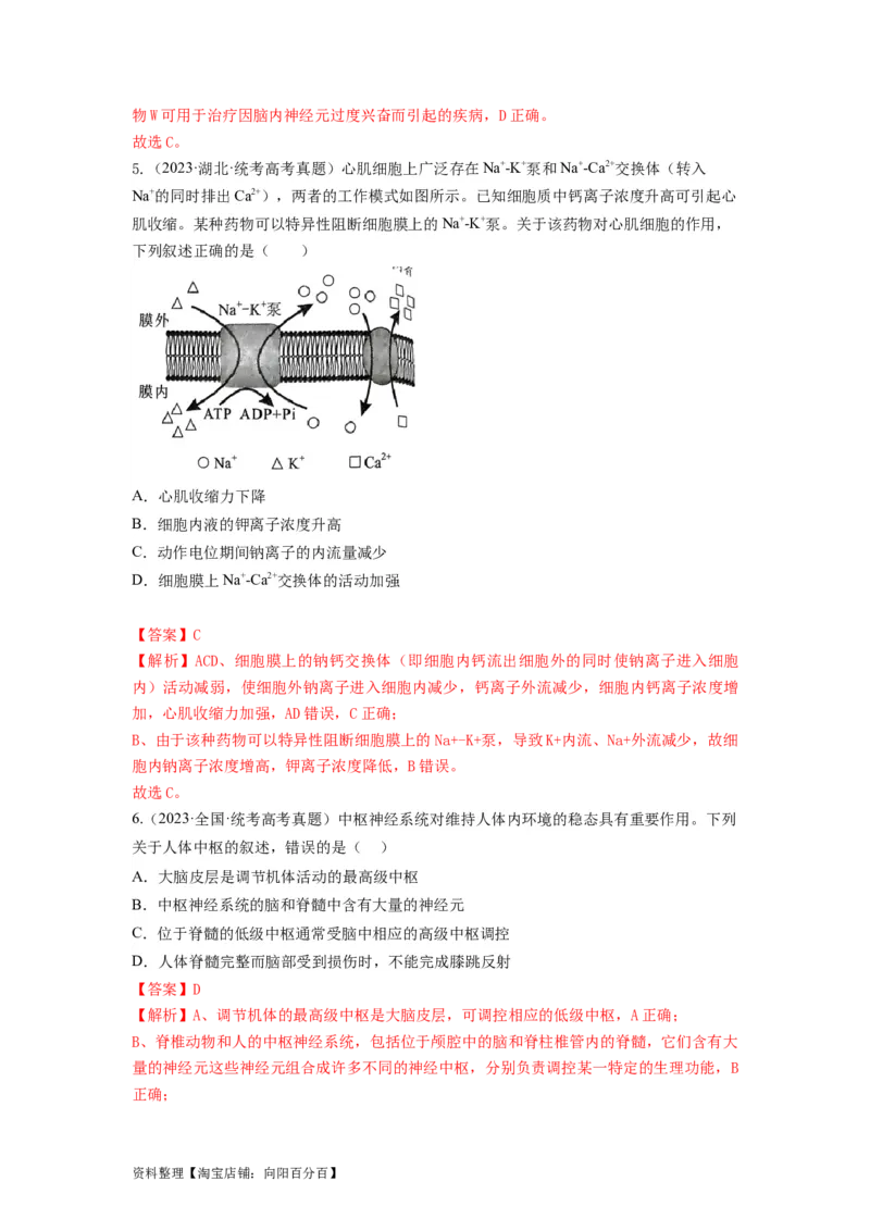 专题24神经调节（串讲）（解析版）_新高考复习资料_2024年新高考复习资料_一轮复习资料_完备战2024年高考生物一轮复习串讲精练（新高考专用）_串讲_解析版