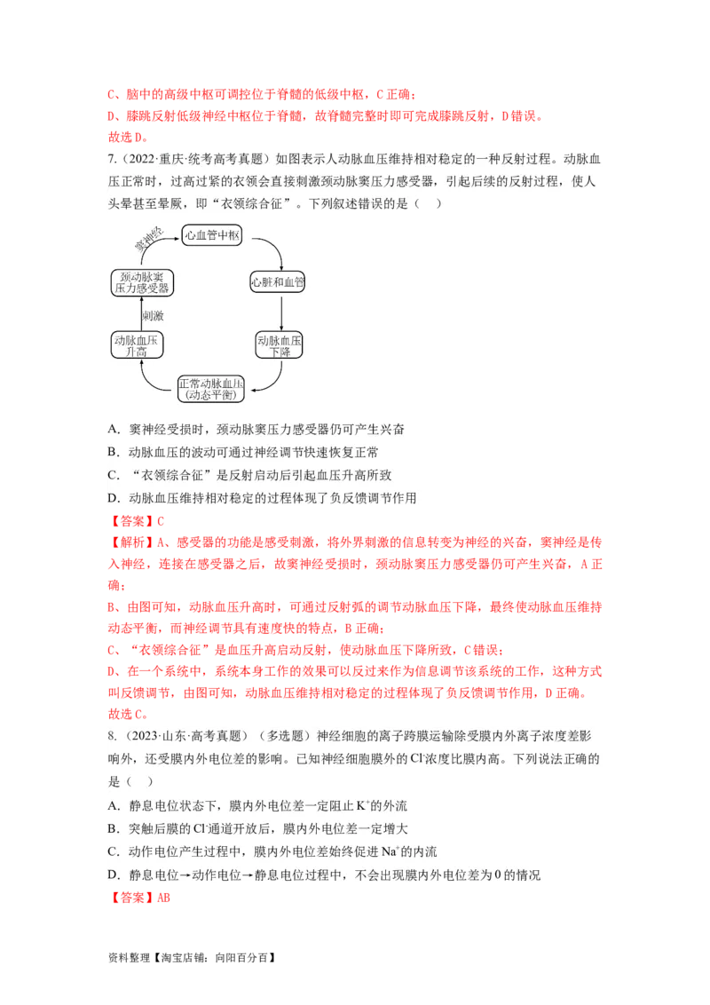专题24神经调节（串讲）（解析版）_新高考复习资料_2024年新高考复习资料_一轮复习资料_完备战2024年高考生物一轮复习串讲精练（新高考专用）_串讲_解析版