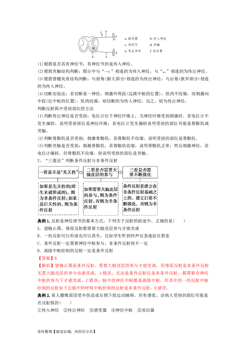 专题24神经调节（串讲）（解析版）_新高考复习资料_2024年新高考复习资料_一轮复习资料_完备战2024年高考生物一轮复习串讲精练（新高考专用）_串讲_解析版