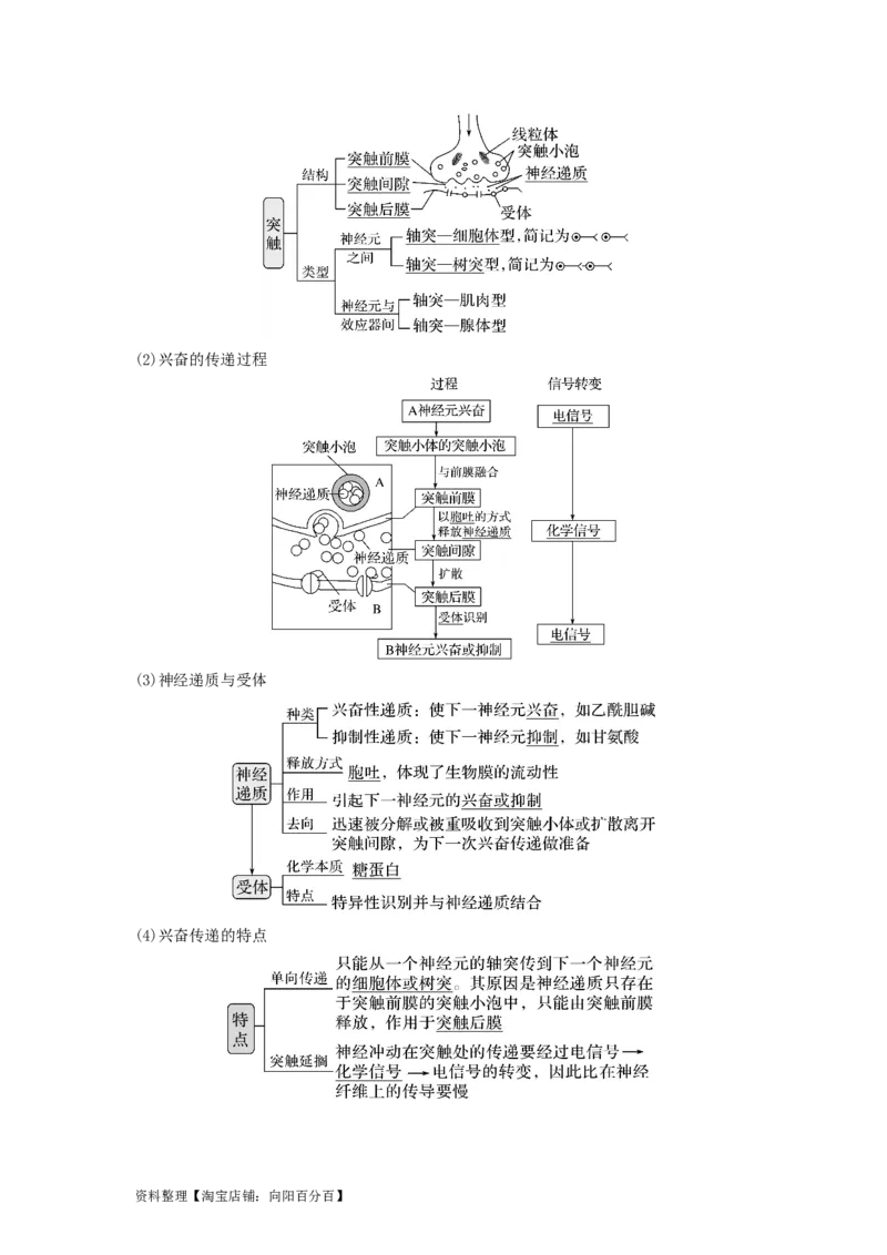 专题24神经调节（串讲）（解析版）_新高考复习资料_2024年新高考复习资料_一轮复习资料_完备战2024年高考生物一轮复习串讲精练（新高考专用）_串讲_解析版