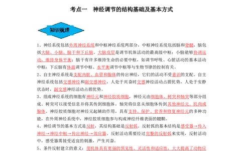 专题24神经调节（串讲）（解析版）_新高考复习资料_2024年新高考复习资料_一轮复习资料_完备战2024年高考生物一轮复习串讲精练（新高考专用）_串讲_解析版
