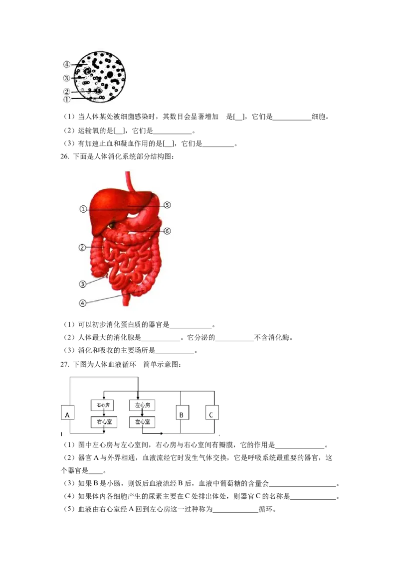 七年级下学期期末学业质量监测生物试题（原卷版）_初中全科电子版试卷练习试题_生物_生物人教版7下练习_人教生物7年级下期末试卷11份