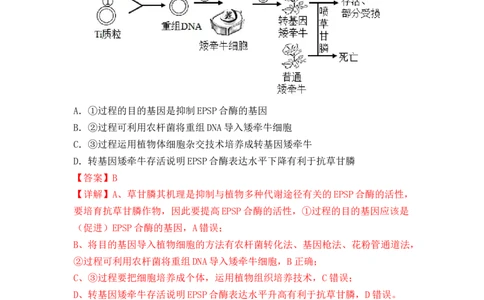 专题16植物细胞工程（解析版）_新高考复习资料_2024年新高考复习资料_一轮复习资料_完备战2024年高考生物一轮复习重难点突破讲解与训练（新教材）_专题16植物细胞工程