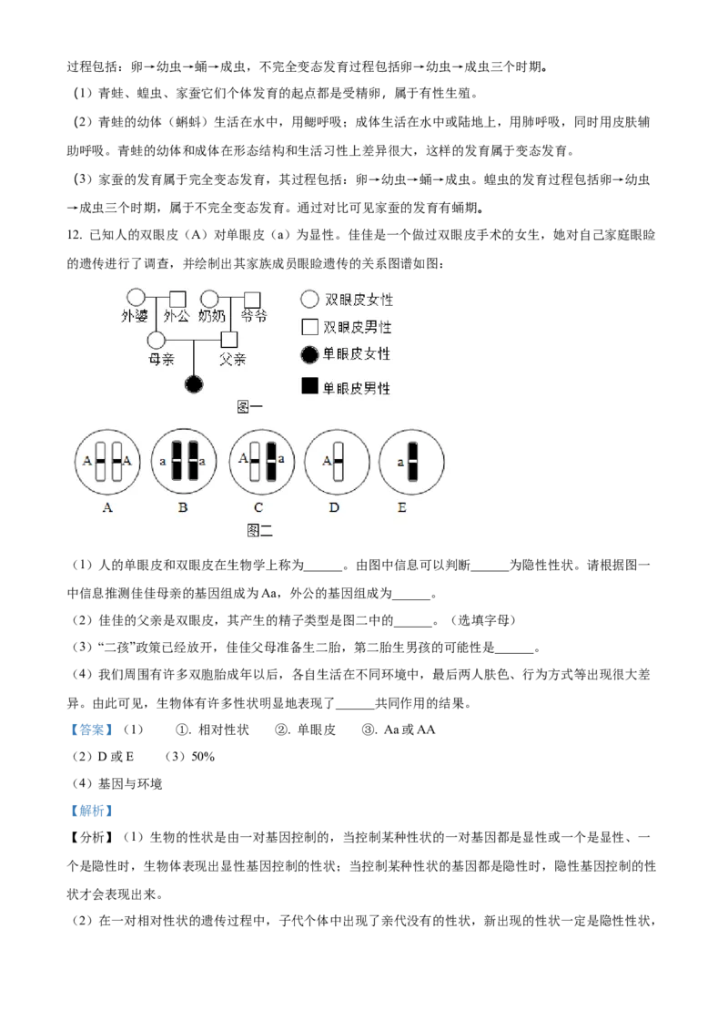 2八年级上学期期末生物试题（解析版）_初中全科电子版试卷练习试题_生物_生物8上练习_人教生物8年级上期末试卷10份