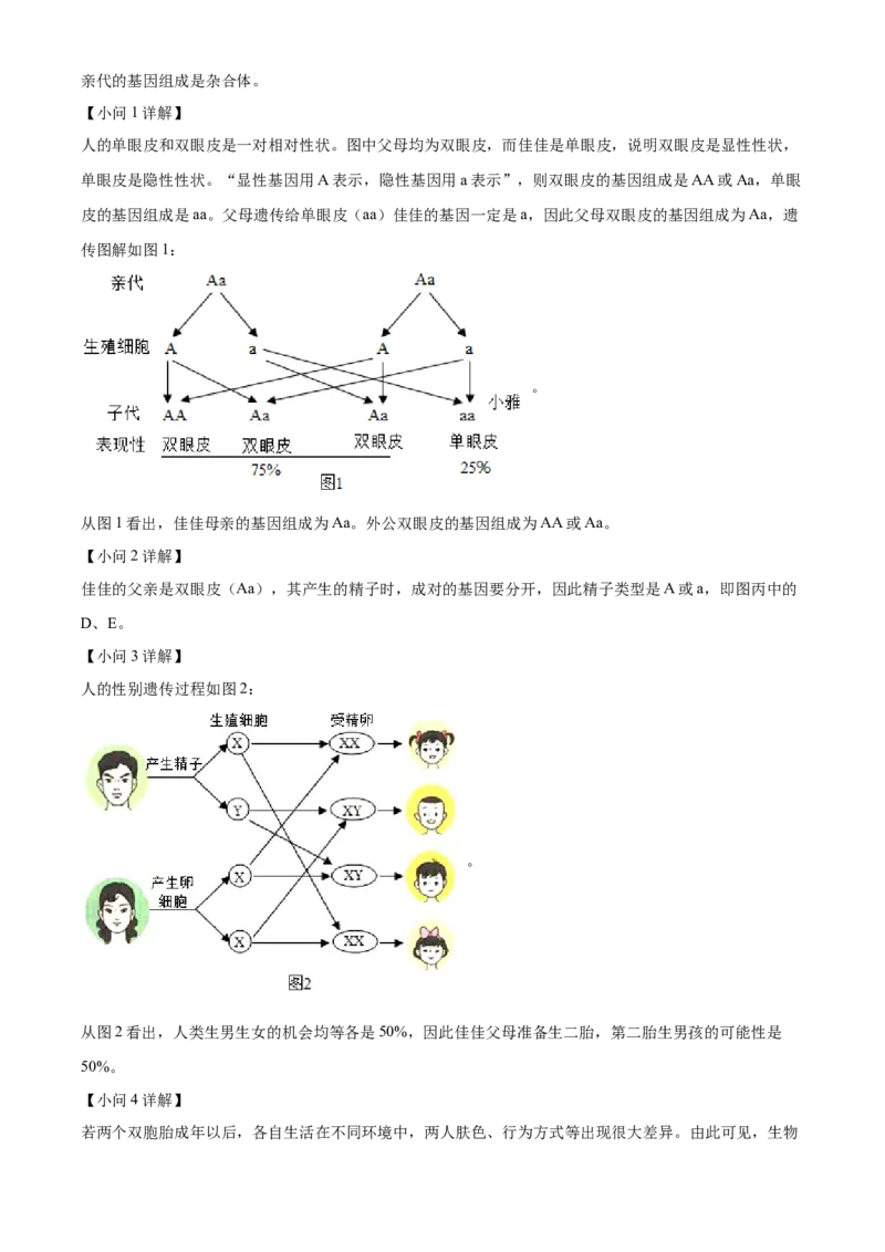 2八年级上学期期末生物试题（解析版）_初中全科电子版试卷练习试题_生物_生物8上练习_人教生物8年级上期末试卷10份