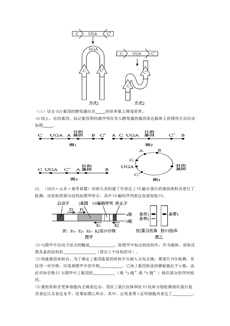 专题24基因工程（原卷版）_通用版（老高考）复习资料_2024年复习资料_完备战2024年高考生物一轮复习抢分特训（全国通用）