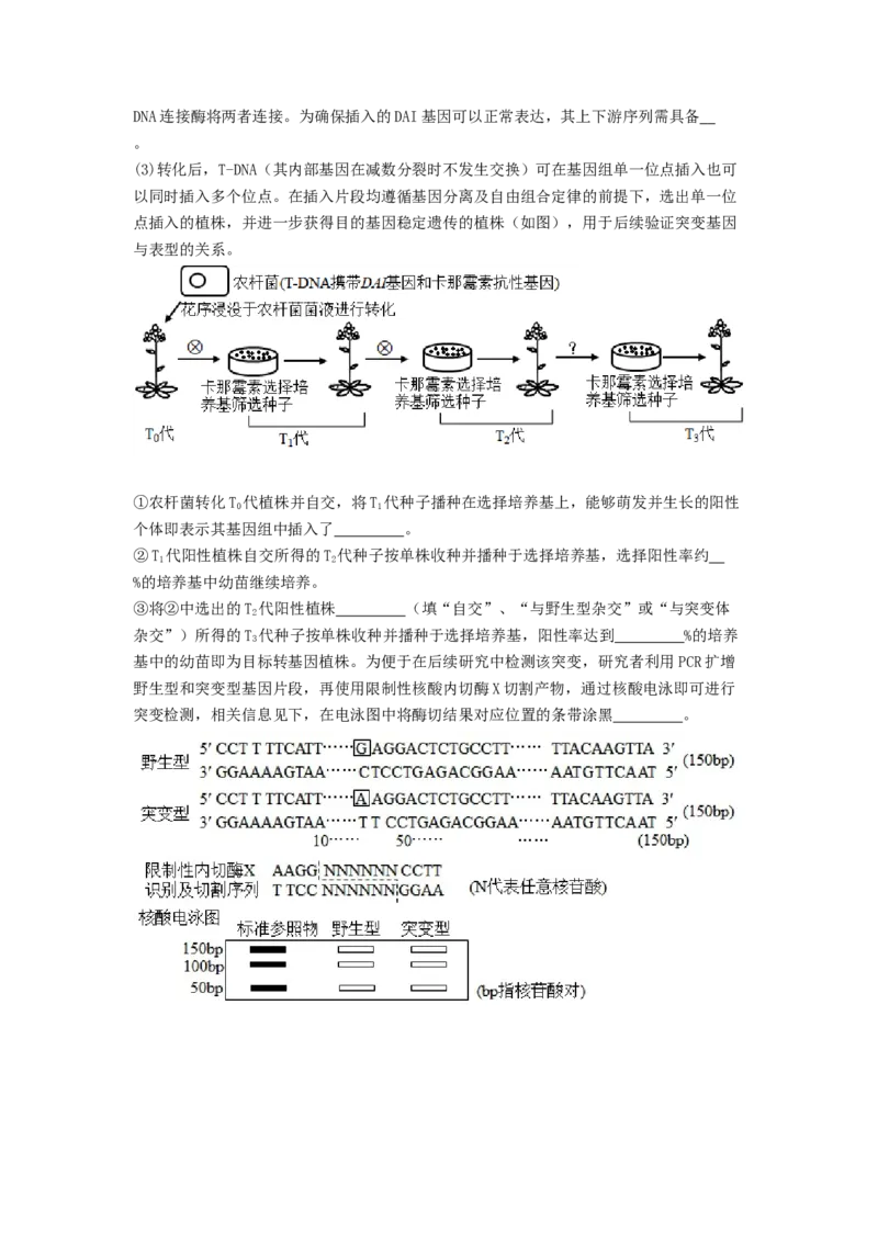 专题24基因工程（原卷版）_通用版（老高考）复习资料_2024年复习资料_完备战2024年高考生物一轮复习抢分特训（全国通用）