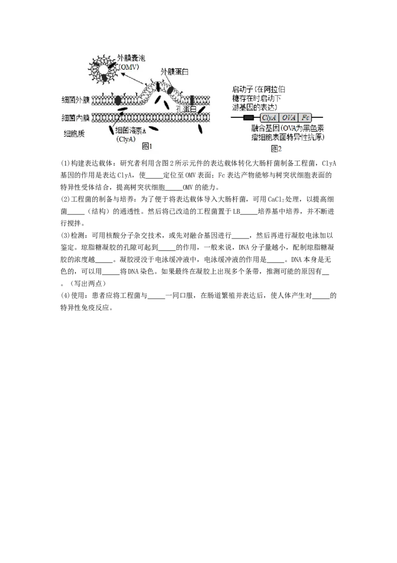 专题24基因工程（原卷版）_通用版（老高考）复习资料_2024年复习资料_完备战2024年高考生物一轮复习抢分特训（全国通用）