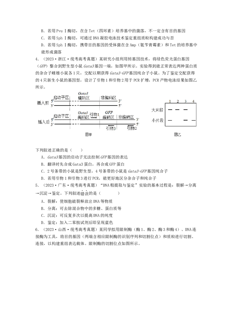 专题24基因工程（原卷版）_通用版（老高考）复习资料_2024年复习资料_完备战2024年高考生物一轮复习抢分特训（全国通用）