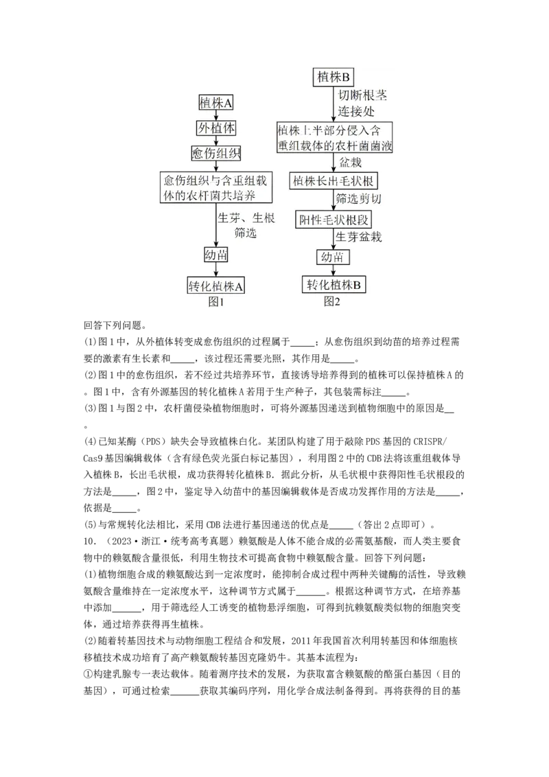 专题24基因工程（原卷版）_通用版（老高考）复习资料_2024年复习资料_完备战2024年高考生物一轮复习抢分特训（全国通用）