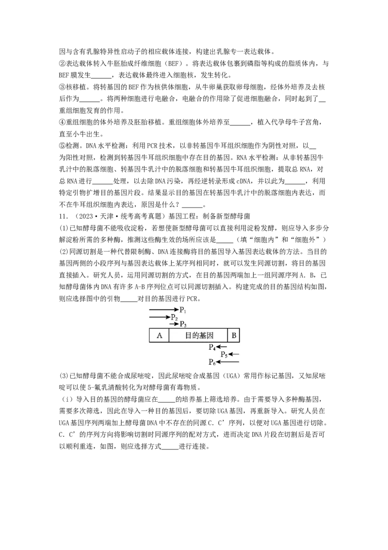 专题24基因工程（原卷版）_通用版（老高考）复习资料_2024年复习资料_完备战2024年高考生物一轮复习抢分特训（全国通用）