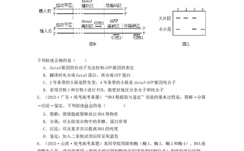 专题24基因工程（原卷版）_通用版（老高考）复习资料_2024年复习资料_完备战2024年高考生物一轮复习抢分特训（全国通用）