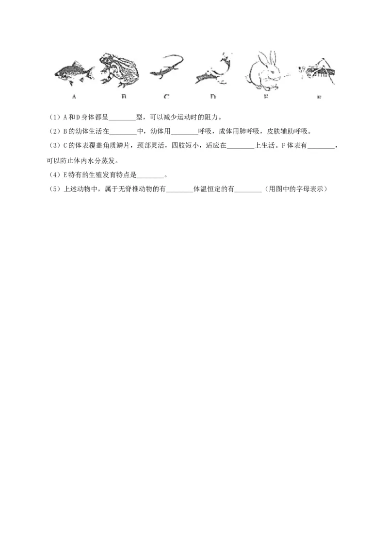 5.1章末检测（备作业）-（人教版）（原卷版）_初中全科电子版试卷练习试题_生物_生物8上练习_人教生物8年级上单元试卷48份_第4套八年级生物上册单元试卷（人教版）08份