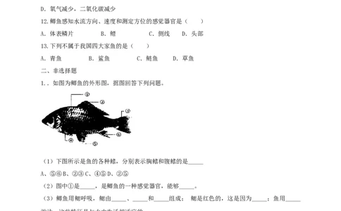 5.1.4鱼（备作业）-（人教版）（原卷版）_初中全科电子版试卷练习试题_生物_生物8上练习_人教生物8年级上课时练习37份_第2套八年级生物上册课时练习（人教版）21份