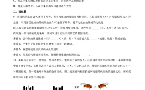 7.2.5生物的变异（练习）-（人教版）（原卷版）_初中全科电子版试卷练习试题_生物_生物8下练习_人教生物8年级下课时练习51份