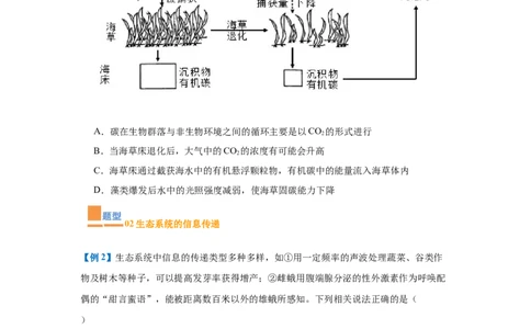 专题17生态系统（7大题型）（原卷版）_2025年新高考资料_一轮复习_备战2025年高考生物一轮复习题型全覆盖（新高考通用）