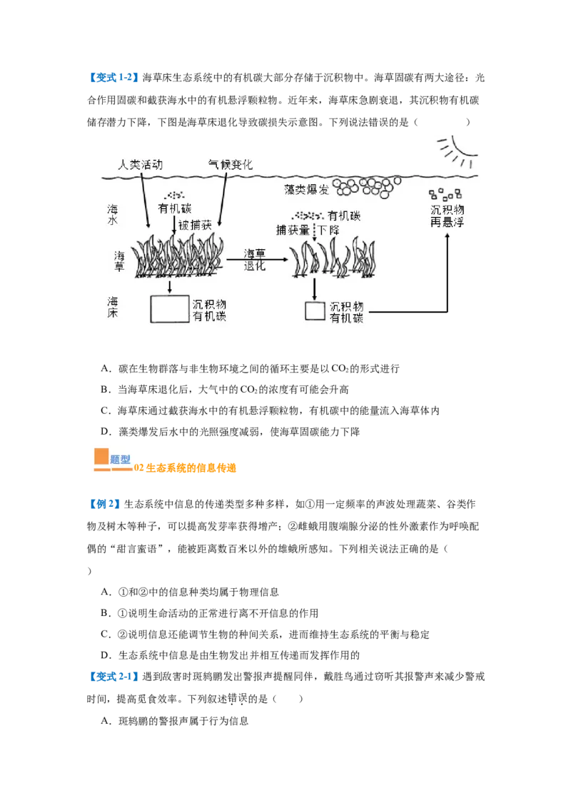 专题17生态系统（7大题型）（原卷版）_2025年新高考资料_一轮复习_备战2025年高考生物一轮复习题型全覆盖（新高考通用）