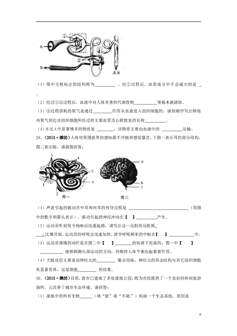 山东省潍坊市2015年中考生物真题试题（含扫描答案）(1)_山东历年中考真题_山东省历年中考真题2013~2024_初中生物历年真题（2013-2024）