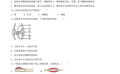 专题06重难点突破-（人教版）（原卷版）_初中全科电子版试卷练习试题_生物_生物8上练习_人教生物8年级上专项练习23份_第1套八年级生物上册专项（人教版）09份