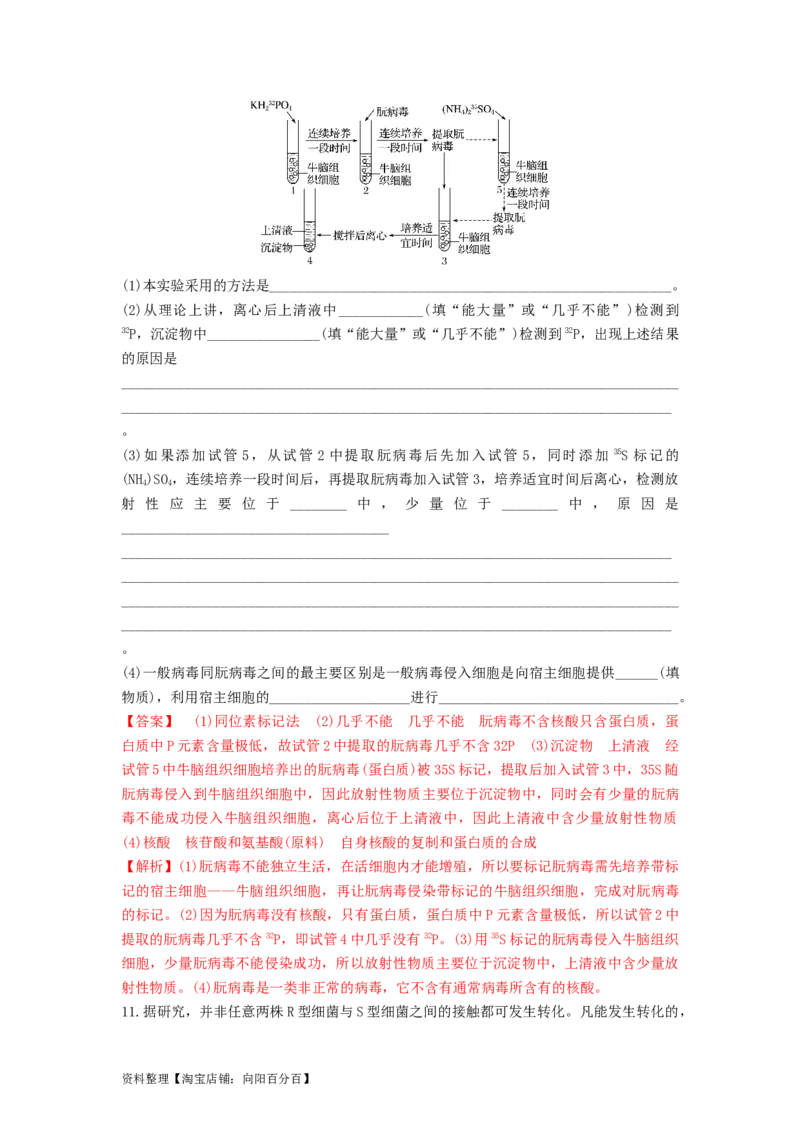 专题17DNA是主要的遗传物质（精练）（解析版）_新高考复习资料_2024年新高考复习资料_一轮复习资料_完备战2024年高考生物一轮复习串讲精练（新高考专用）_精练_解析版