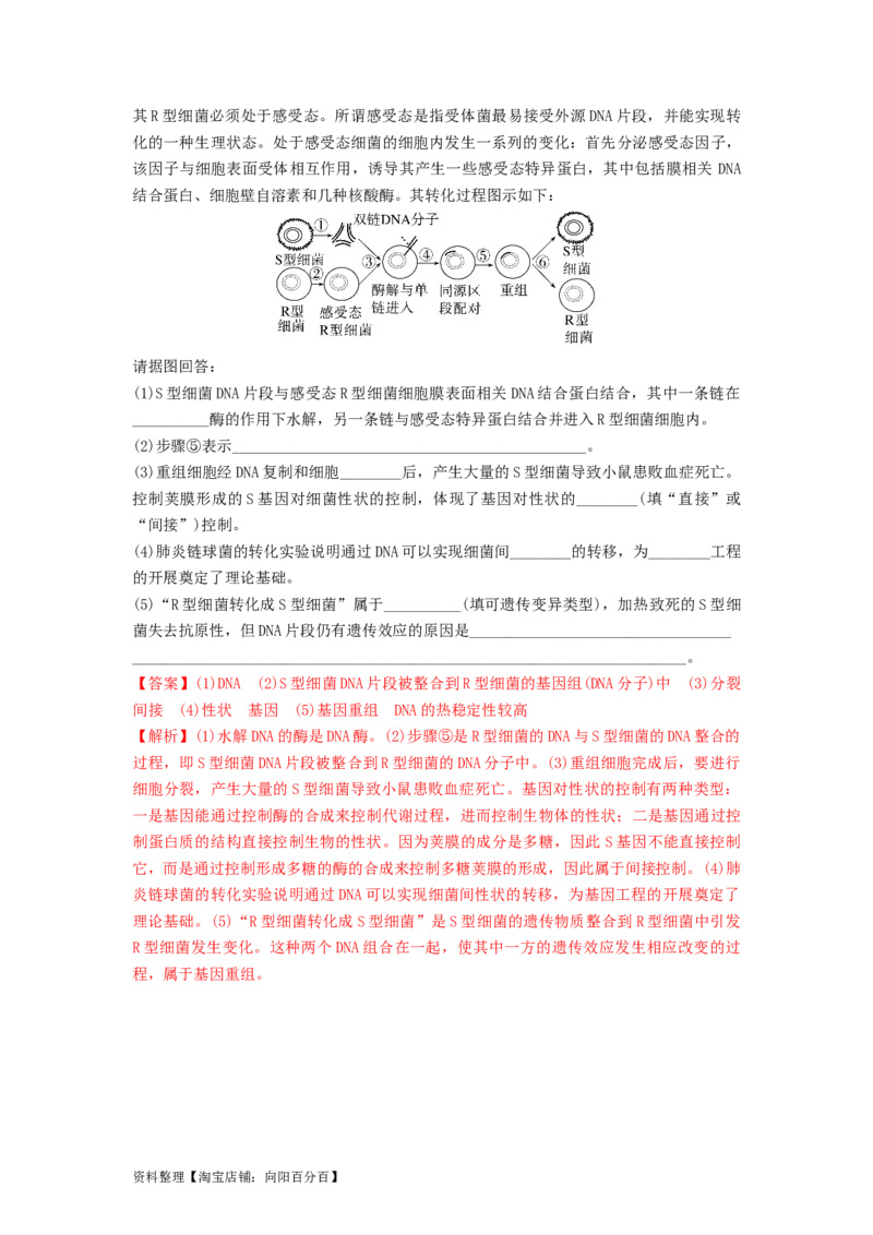 专题17DNA是主要的遗传物质（精练）（解析版）_新高考复习资料_2024年新高考复习资料_一轮复习资料_完备战2024年高考生物一轮复习串讲精练（新高考专用）_精练_解析版