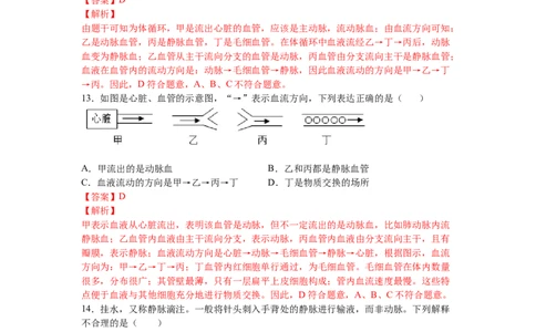 4.4.2血流的管道&mdash;&mdash;血管-（人教版）（解析版）_初中全科电子版试卷练习试题_生物_生物人教版7下练习_人教生物7年级下课时练习40份