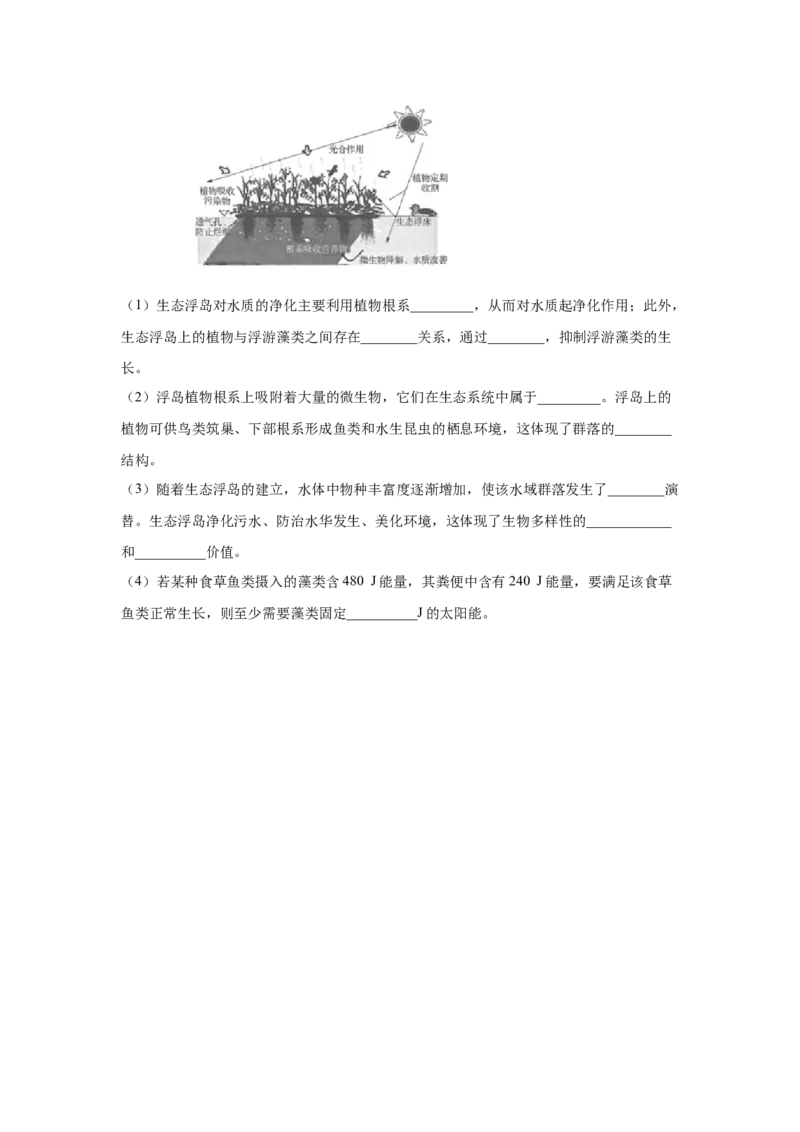 专题31生态系统的稳定性与环境保护（学生版）_新高考复习资料_2023年新高考复习资料_二轮复习_增分要点2023高考生物二轮复习专题解读和分层训练291073137