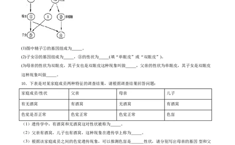 7.2.2基因在亲子代间的传递（重点练）-（人教版）（原卷版）_初中全科电子版试卷练习试题_生物_生物8下练习_人教生物8年级下课时练习51份