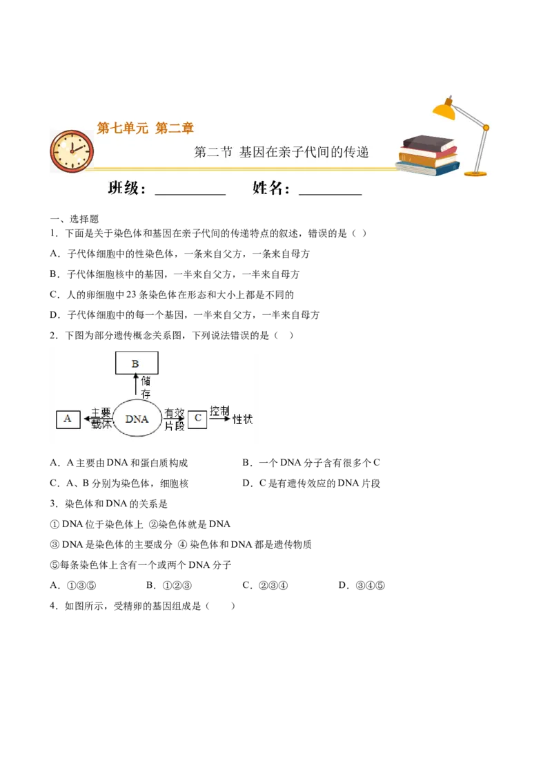 7.2.2基因在亲子代间的传递（重点练）-（人教版）（原卷版）_初中全科电子版试卷练习试题_生物_生物8下练习_人教生物8年级下课时练习51份