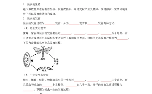 专题02昆虫和两栖动物的发育（原卷版）-2021-2022学年八年级上学期期末复习之重难点突破（人教版）_初中全科电子版试卷练习试题_生物_生物8上练习