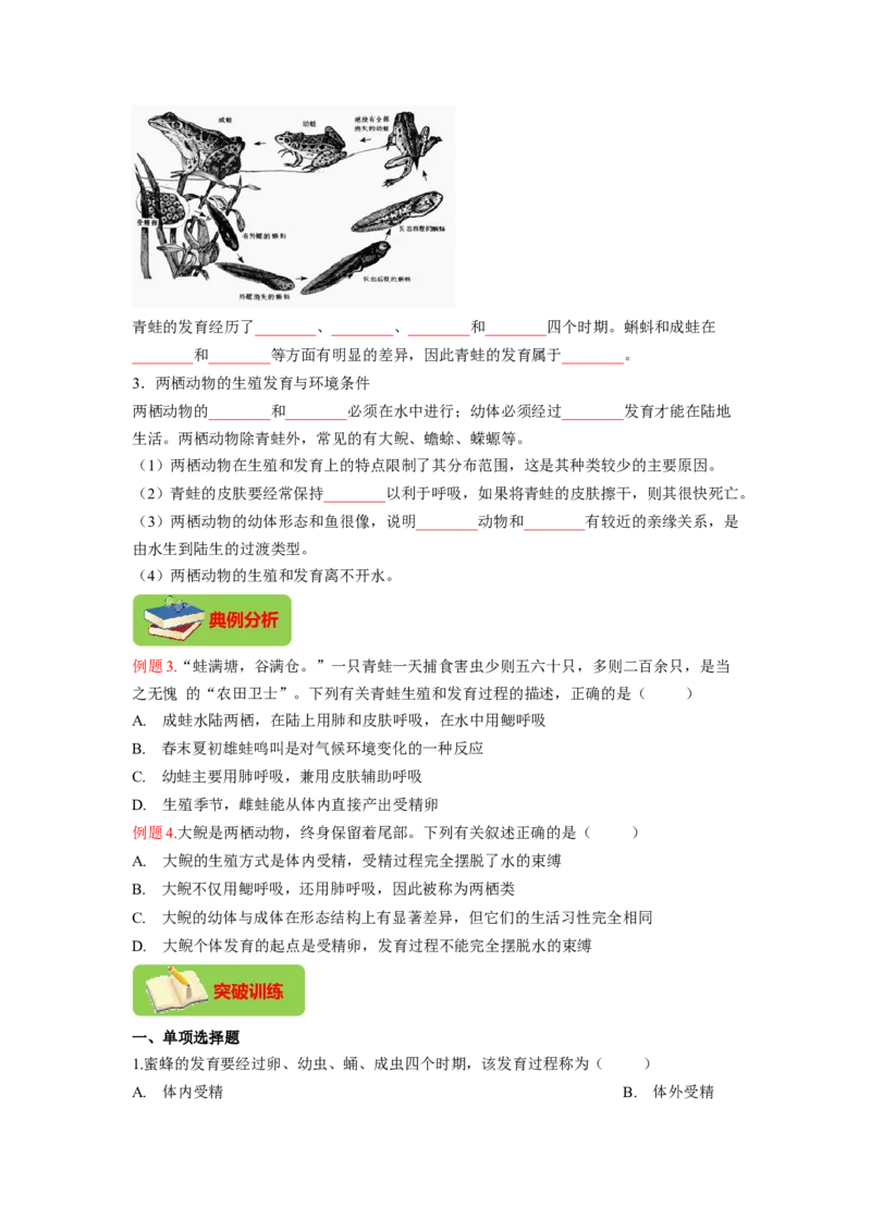 专题02昆虫和两栖动物的发育（原卷版）-2021-2022学年八年级上学期期末复习之重难点突破（人教版）_初中全科电子版试卷练习试题_生物_生物8上练习