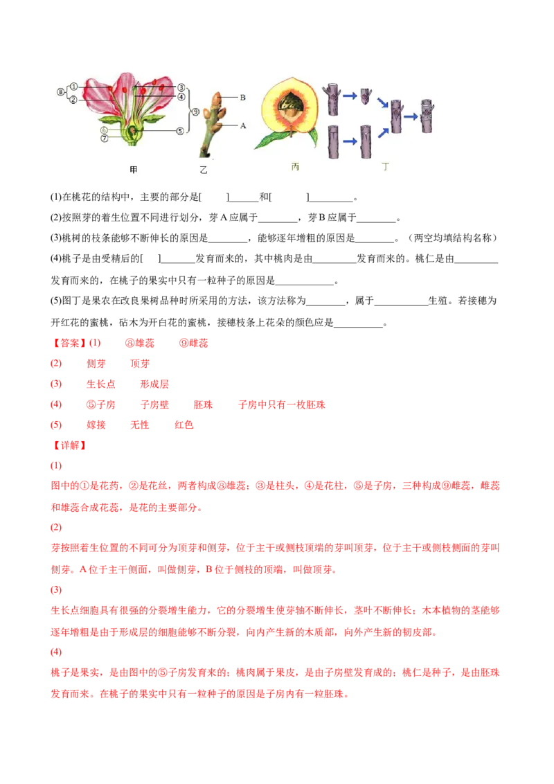 7.1.1植物的生殖（练习）-（人教版）（解析版）_初中全科电子版试卷练习试题_生物_生物8下练习_人教生物8年级下课时练习51份