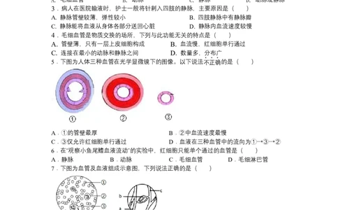 4.4.2血流的管道&mdash;&mdash;血管-（人教版）（原卷版）_初中全科电子版试卷练习试题_生物_生物人教版7下练习_人教生物7年级下课时练习40份