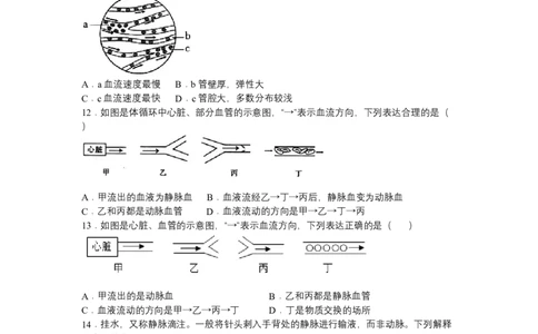 4.4.2血流的管道&mdash;&mdash;血管-（人教版）（原卷版）_初中全科电子版试卷练习试题_生物_生物人教版7下练习_人教生物7年级下课时练习40份