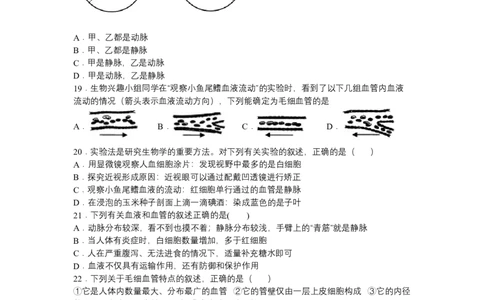 4.4.2血流的管道&mdash;&mdash;血管-（人教版）（原卷版）_初中全科电子版试卷练习试题_生物_生物人教版7下练习_人教生物7年级下课时练习40份